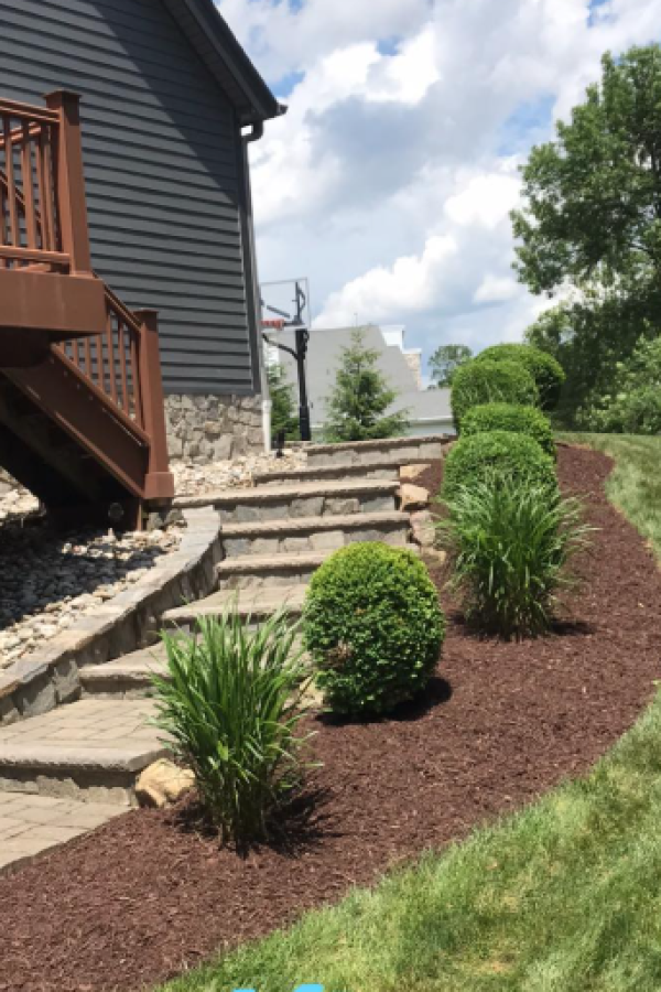 Screenshot 2025-04-12 at 8.20.13 PM